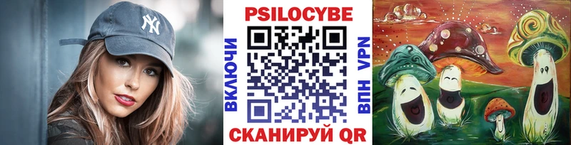 закладка  Багратионовск  Галлюциногенные грибы Cubensis 