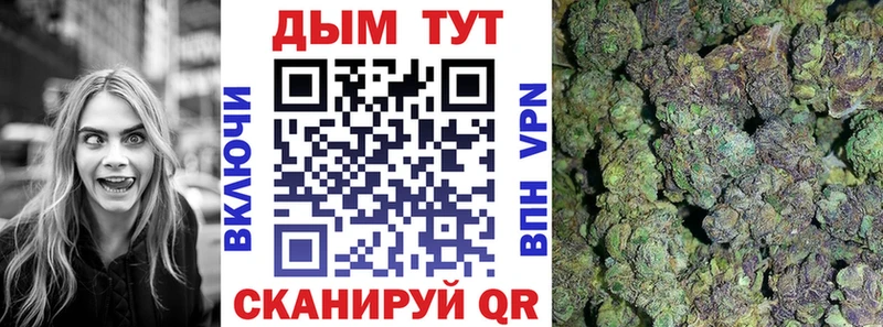 Канабис план  МЕГА ссылка  Багратионовск 